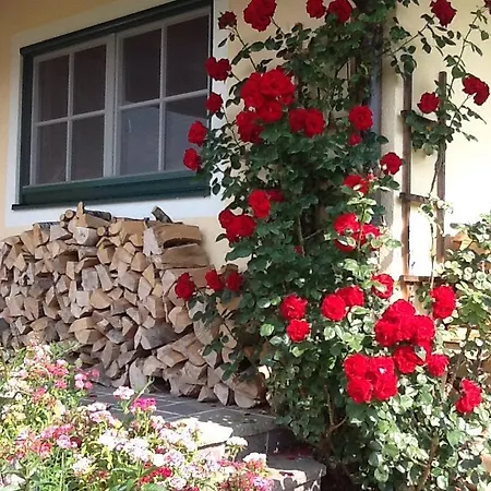 Ramseiden 800 Chalet